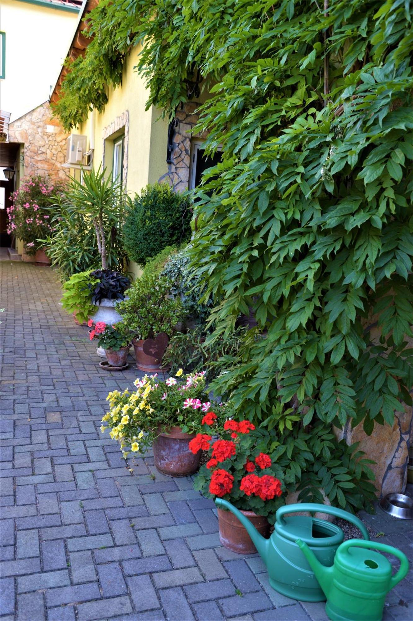 Ferienwohnung Koppi Pamhagen Exterior photo