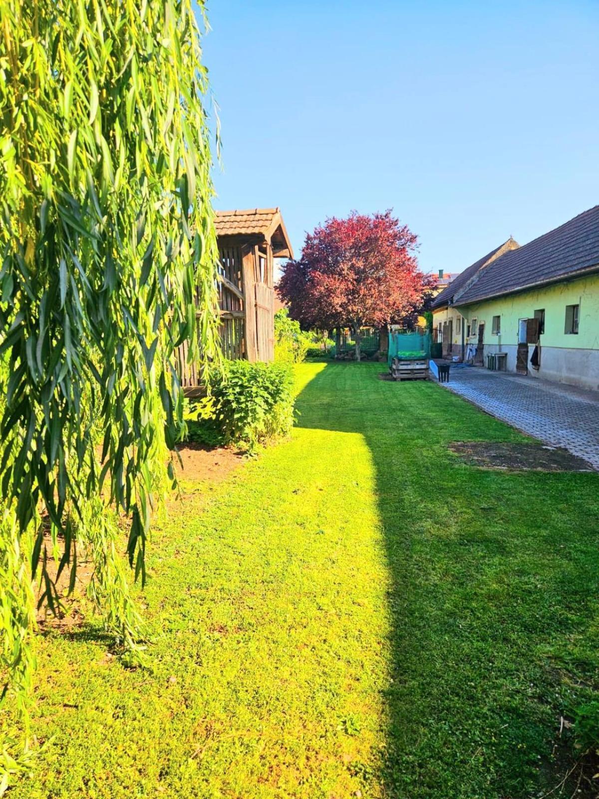 Ferienwohnung Koppi Pamhagen Exterior photo